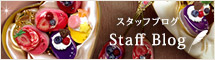 スタッフブログ